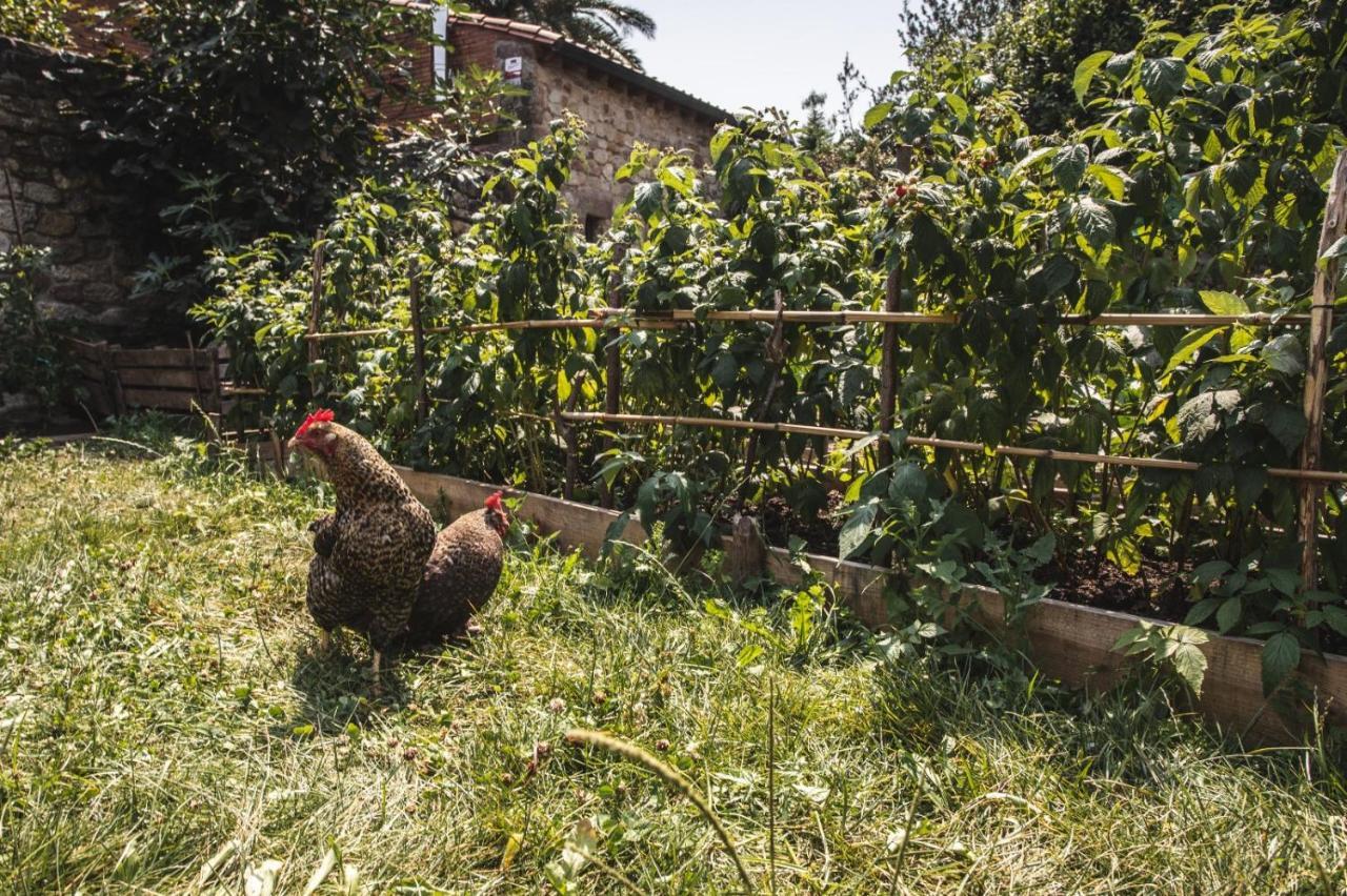 La Casa De Consuelo 3 ξενώνας Viérnoles Εξωτερικό φωτογραφία